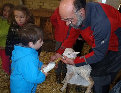 El ‘Baserri eguna’ de Abadiño mostrará la labor del caserío