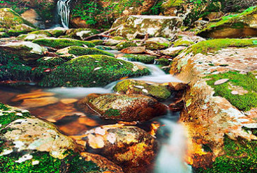 Arabako iparraldea ezagutzeko aukera Ametxen eskutik