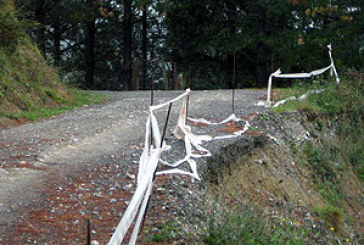 Sarria-Besoitako baso-pista konponduko du Udalak