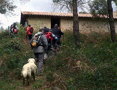 Amorebieta-Etxanoko Ermiten Ibilaldian 14 lagun batu dira
