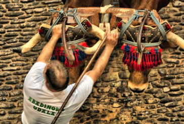 Abadiño garantizará la ausencia de dopaje en las idi probak