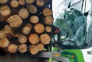 Ocho heridos tras chocar un Bizkaibus contra un camión con troncos en Amorebieta