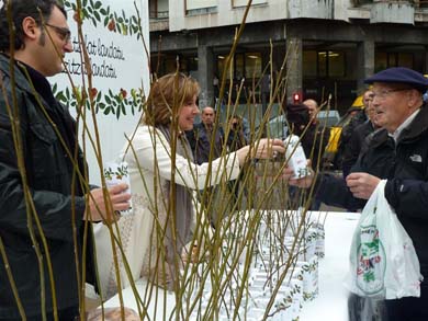 Repartirán mañana nogales en Durango y Amorebieta con motivo del Zuhaitz Eguna