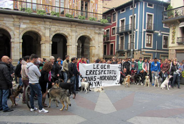 El Ayuntamiento secundará la concentración de repulsa por las agresiones contra perros