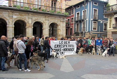 El Ayuntamiento secundará la concentración de repulsa por las agresiones contra perros