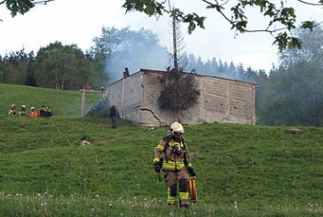 Un aparatoso incendio destroza el tejado de una chabola abandonada en Durango