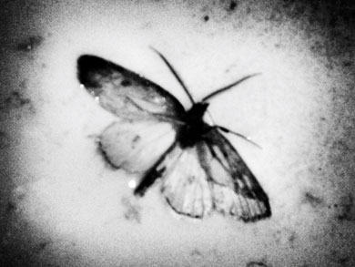 “La fotografía me cambió la vida”