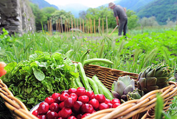 La Feria Ecológica de Elorrio ofrecerá aceite y semillas