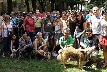 “Es una salvajada, no hay derecho a que hagan algo así”