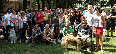 Más ‘dog-friendly’