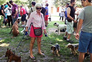 Fumata blanca entre dueños de perros y el Ayuntamiento