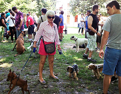 Fumata blanca entre dueños de perros y el Ayuntamiento