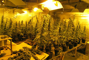 Dos detenidos tras desmantelar una plantación de marihuana