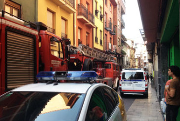 Dos detenidos en Durango tras localizarse 370 plantas de marihuana en sus domicilios