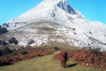 Rescatan a una mujer de 55 años tras caerse en el Anboto