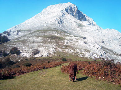 Rescatan a una mujer de 55 años tras caerse en el Anboto