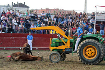 Muere una vaca en un espectáculo taurino en Durango tras embestir a un tractor