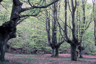 El parque de Urkiola formará parte de la Red Natura 2000