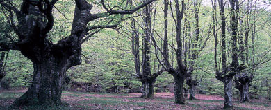 El parque de Urkiola formará parte de la Red Natura 2000