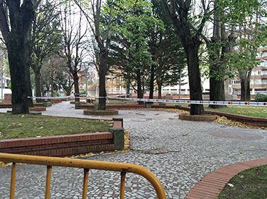 El viento tira un tilo en Ezkurdi