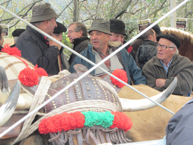 San Blas echa un capote