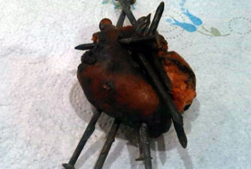 Rechazan que el chorizo con clavos fuera un ataque intencionado contra perros