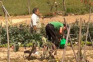 Los huertos urbanos de Berriz se adjudicarán en abril