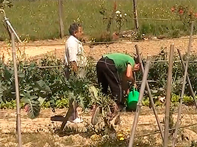 Los huertos urbanos de Berriz se adjudicarán en abril