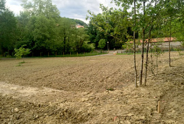 Las solicitudes para los huertos urbanos pueden presentarse hasta el 2 de junio