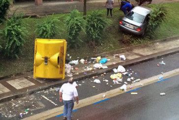 Un turismo invade una zona ajardinada en Zabalekoa a causa de un choque