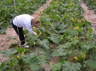 La Diputación elabora un estudio sobre mujeres víctimas de malos tratos en el entorno rural