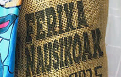 Maialen Arregik egindako kartelak iragarriko ditu aurtengo Ferixa Nausikoak