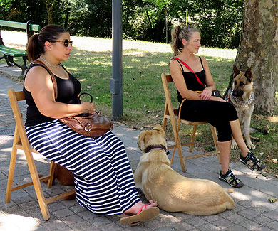 Durandog pondrá en marcha un servicio de acogida y adopción de perros abandonados