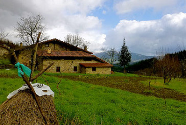 La nueva área de Desarrollo Rural analizará las necesidades de los barrios abadiñarras