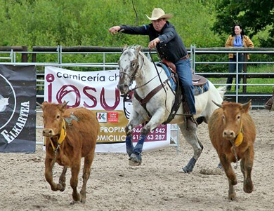 Los ‘cowboys’ vascos celebran su Gran Final en Zaldibar