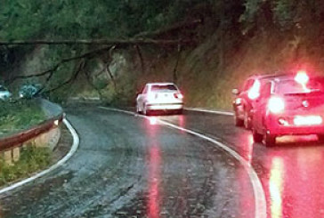Reabierta la carretera de Urkiola tras la caída de árboles