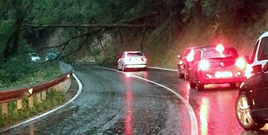 Reabierta la carretera de Urkiola tras la caída de árboles