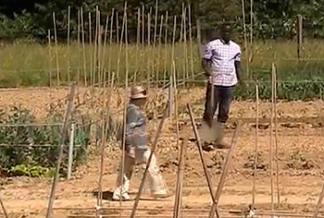 Atxondoko Udalak 4.000 metro karratuko lur-arloa bilatu nahi du Apatan herri-ortuak egiteko