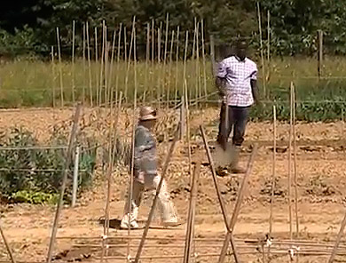 Atxondoko Udalak 4.000 metro karratuko lur-arloa bilatu nahi du Apatan herri-ortuak egiteko