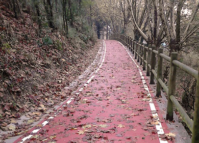 El bidegorri de Zubieta culmina las obras de su último tramo