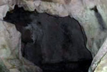 Expertos hablarán esta tarde sobre las pinturas localizadas en la cueva de Askondo