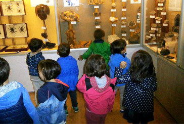 El Museo de Ciencias Naturales Hontza de Mañaria amplía su horario en Semana Santa