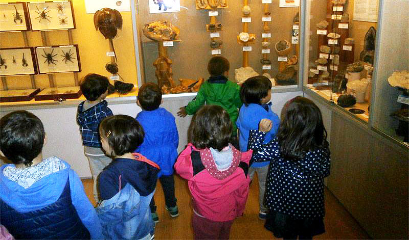 El Museo de Ciencias Naturales Hontza de Mañaria amplía su horario en Semana Santa