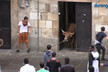 Una vaquilla se mete en un portal de la plaza de Santa Ana