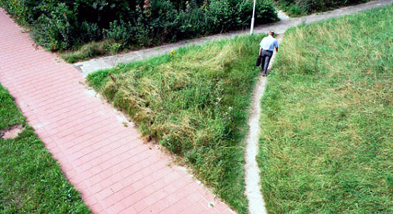 lineas_deseo-550x300