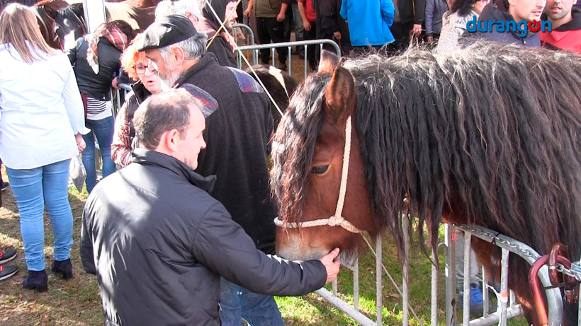 El vendaval no frena la afluencia de público en la feria de San Blas