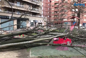 El viento derriba parte de la copa y el tronco de un árbol sobre el parque infantil de San Ignacio