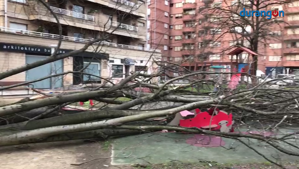 El viento derriba parte de la copa y el tronco de un árbol sobre el parque infantil de San Ignacio