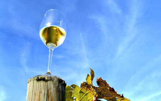 txakoli