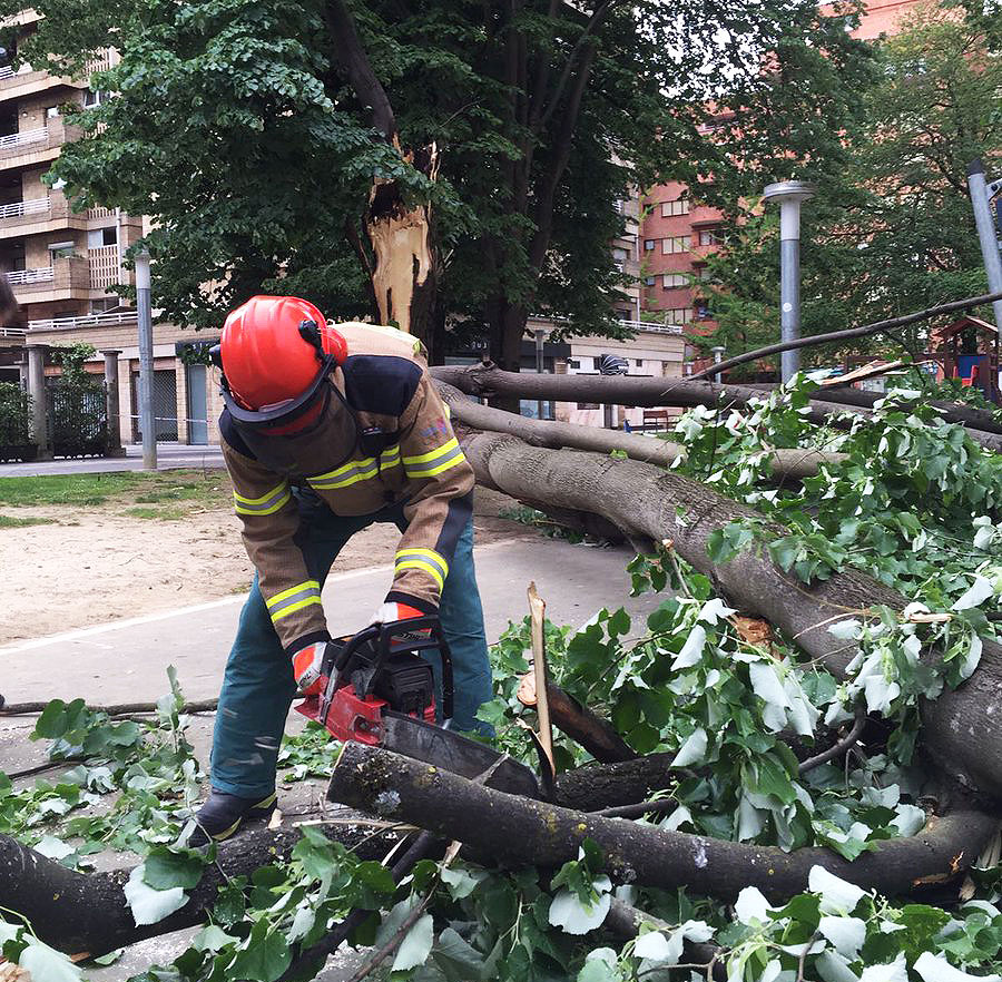 El viento troncha un árbol en San Ignacio auzunea y vuelve a caer sobre el parque infantil